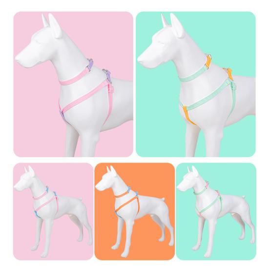 1 комплект ошейника для собаки в стиле пэчворк Цвет Многоцелевой Не вызывает аллергии Износостойкий Подходит для