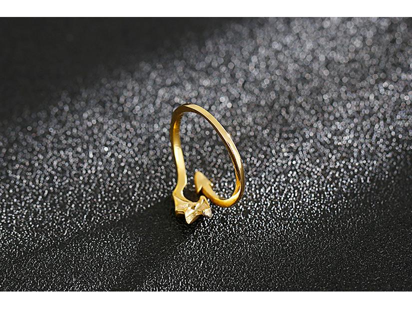 Кольцо для пары «Крылья стрелы» из нержавеющей стали с дьявольским пером