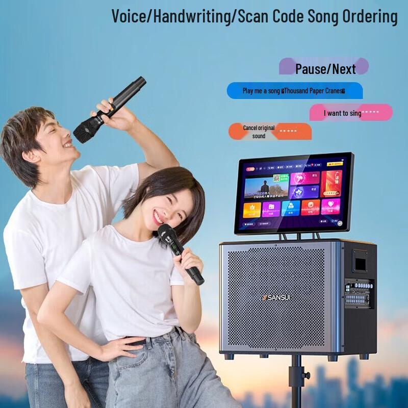 Портативный уличный KTV акустический комплект SANSUI C15 (Китайская версия)