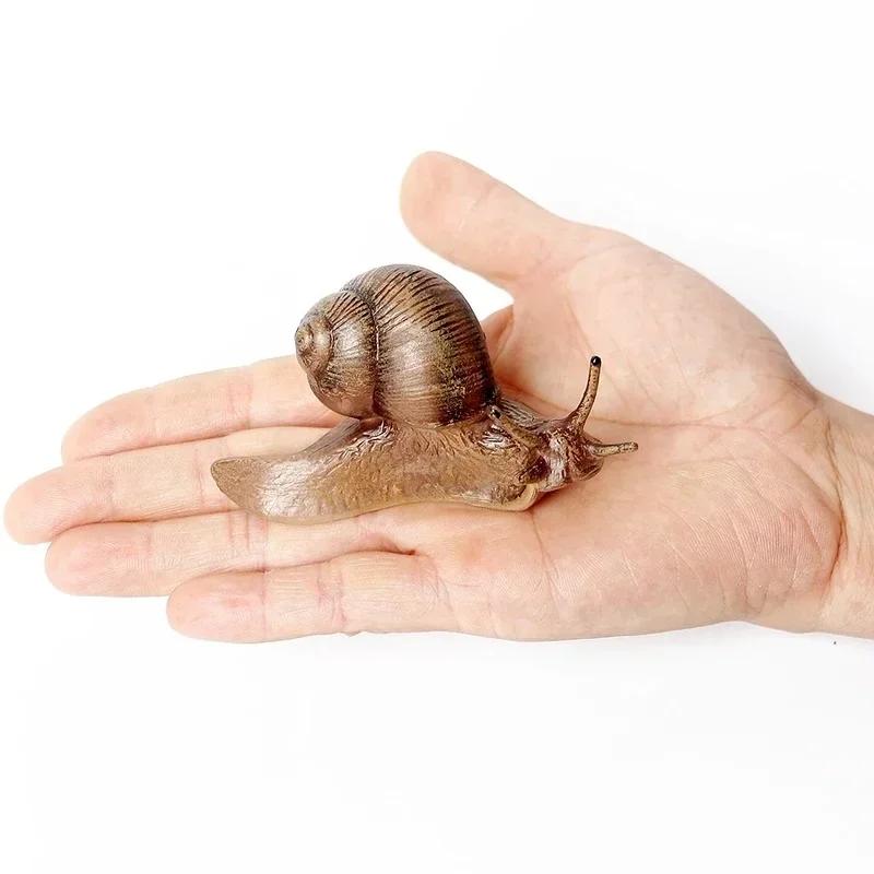 Реалистичная модель цикла роста улитки Модель животного Модель жизненного цикла улитки Украшение миниатюрного сада Коллекционер Образовательная игрушка