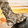 Мужские ботинки Desert, мужские повседневные высокие армейские ботинки, большие размеры, камуфляж, хаки, походная обувь для джунглей
