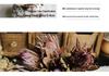 Deluxe Emperor Preserved Real & Dried Flowers Decor Arrangement