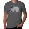 Champagne Dargent Rabbit Tshirt Unisex Graphic T Shirt Cotton Tshirt 100 Tshirt