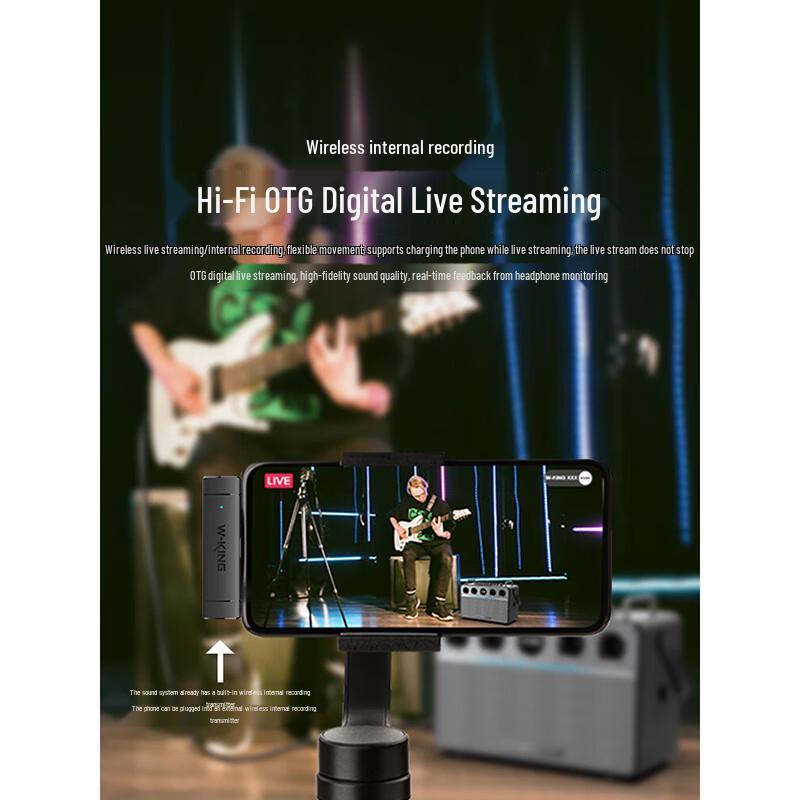 W-King T16L 160W Outdoor Karaoke Bluetooth Speaker