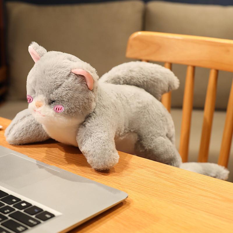 Shark Creative Cat Plush Toy Cartoon Child Sleeping Soothing Sofa Gift Pillow