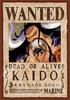 Ensky 208-Piece Jigsaw Puzzle One Piece Wanted Poster [Kaido] 208-074