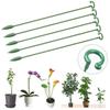 10x Plant Support Set Flower Plant Stakes Sticks for Single Stem Plants Garden Plant Support Piles