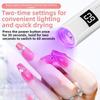 Rechargeable LED UV Nail Lamp With Timing Function UV Curing Lamp  Banknote Identification
