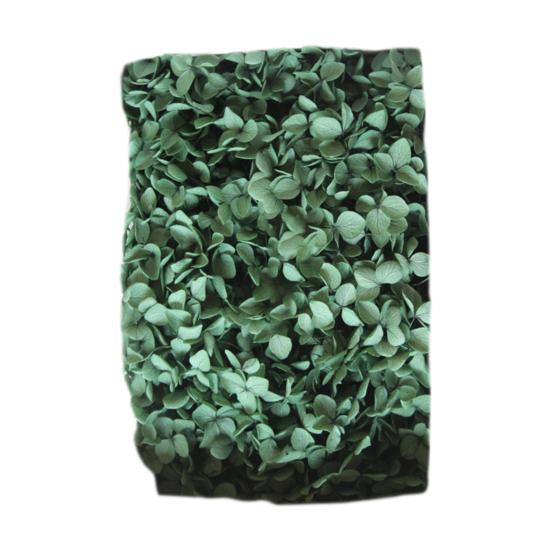 Модные сухие цветы гортензии без полива, легкие, добавляют атмосферы