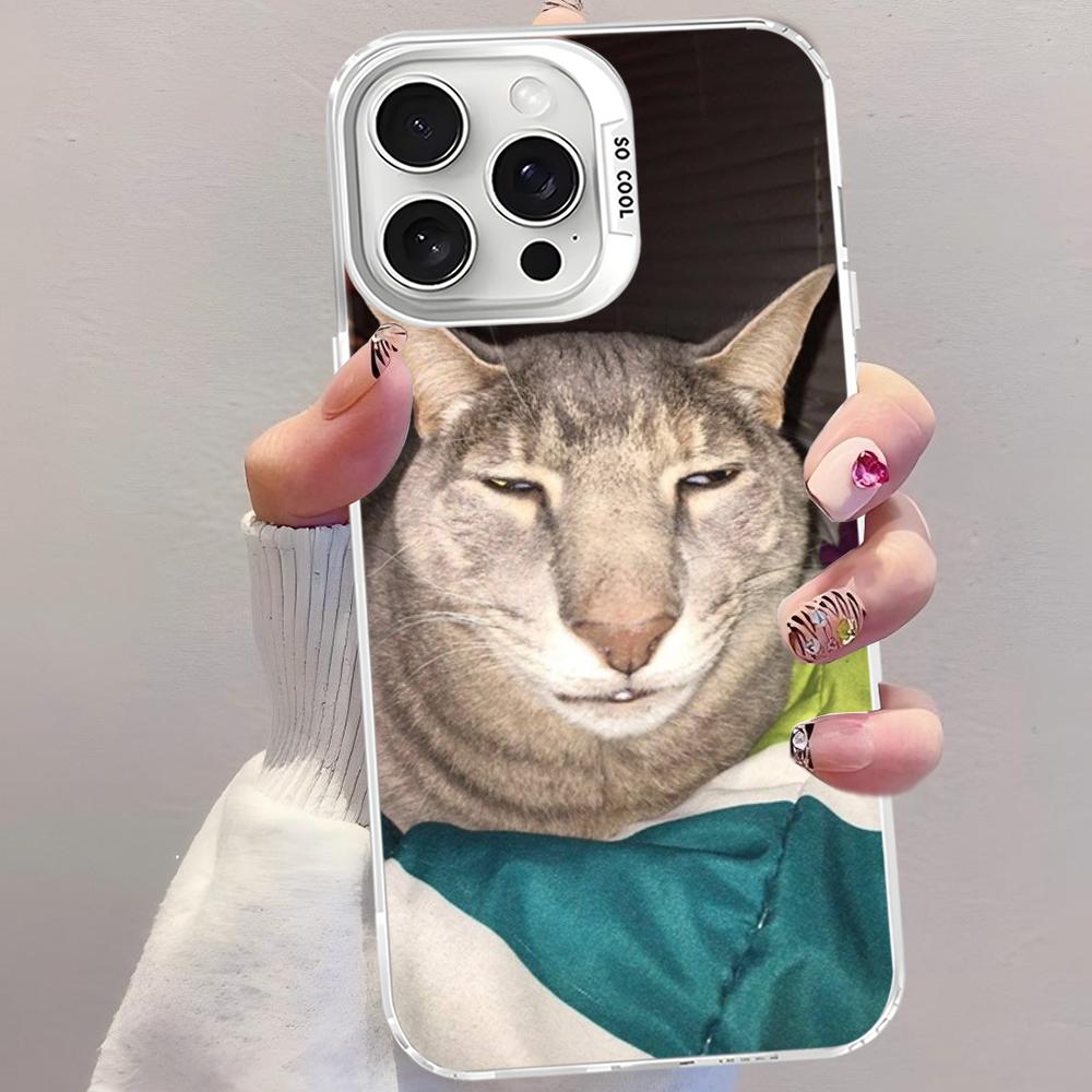 Pet Cat Funny Memes Phone Case For IPhone 16 15 14 13 12 11 Pro Max X XR XSMAX 8 7 Plus Matte Shockproof Back Cover