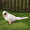 Simulation Parakeet Miniature Landscape Ornament Artificial Bird Model Props
