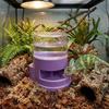 Detachable Reptiles Water Feeder Plastic Turtle Water Bowl Reptile Water Dispenser  Tank Landscape