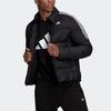 adidas Спорт на открытом воздухе с воротником-стойкой, пуховик, мужские куртки, черный GT9145