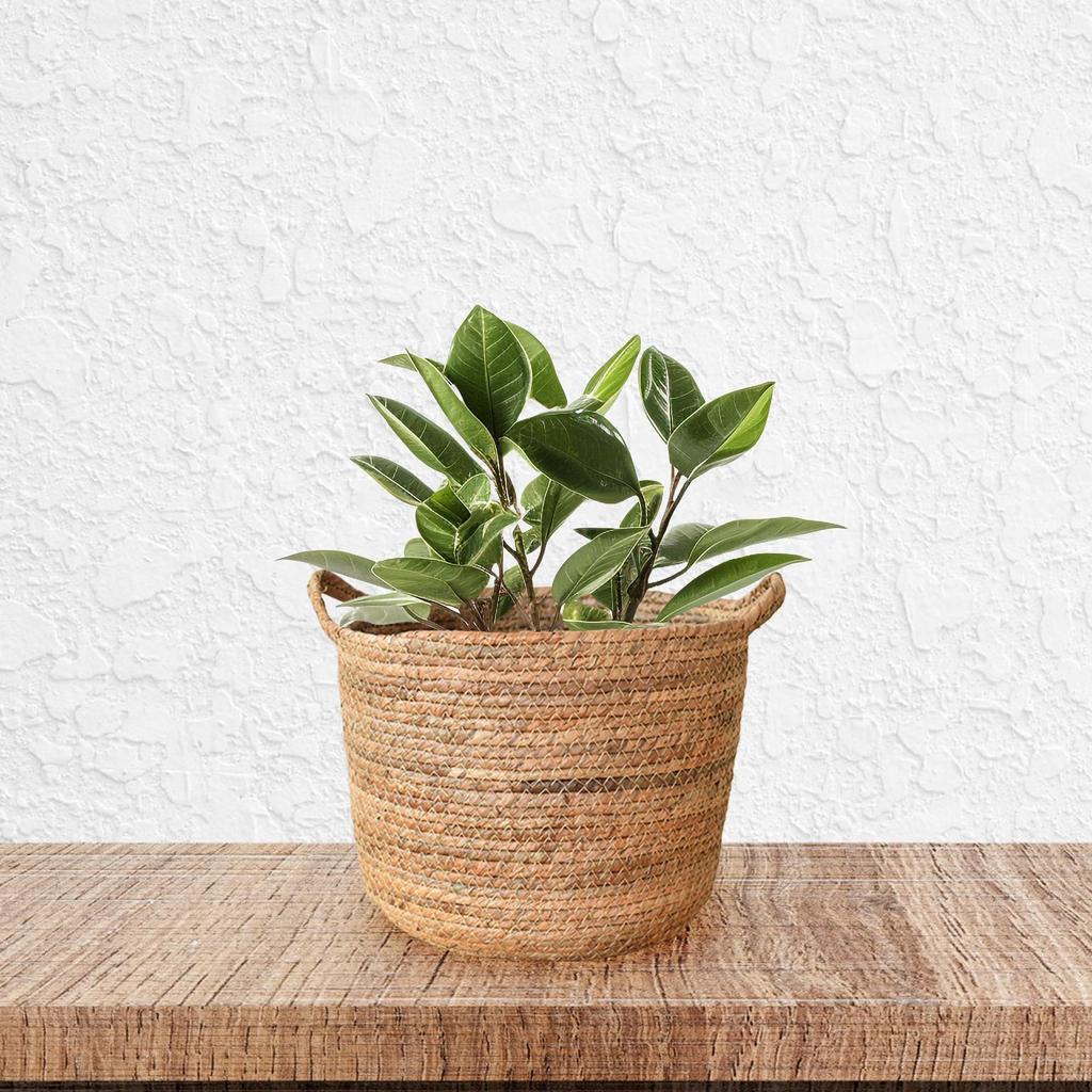 Плетеные корзины для растений, цветочные горшки, декоративные, большой емкости, держатели для хранения