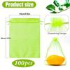 100Pcs Fruit Insect Proof Mesh Bag, Vegetable and Fruit Bird and Insect Proof Mesh Bag