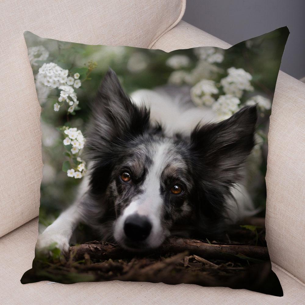 Милый питомец животное собака принт наволочка шотландский бордер колли подушка чехол диван украшение для автомобиля