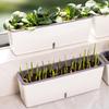 Long Narrow Vegetable Planter Trough Set