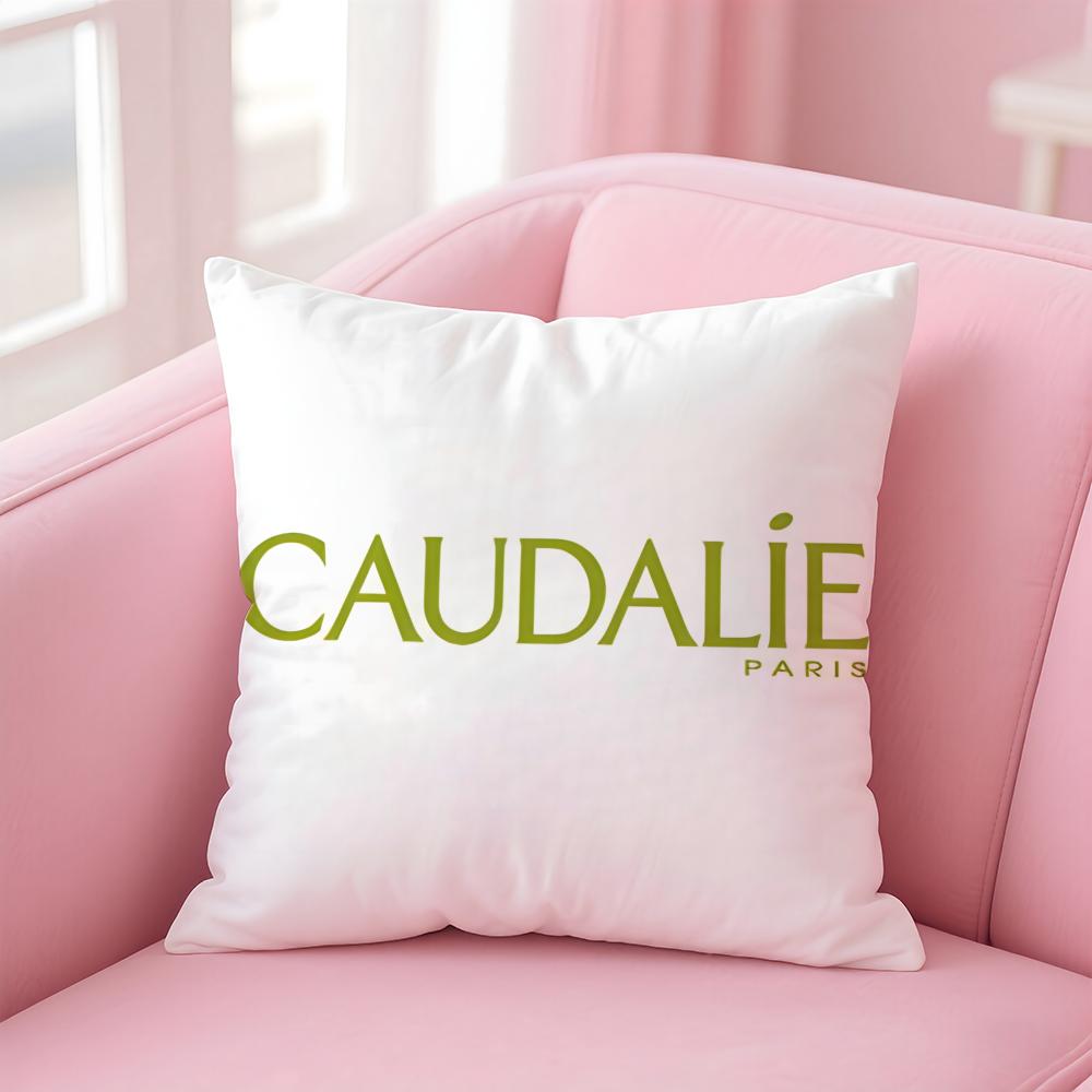 Популярные бренды Caudalie Чехол-подушка Cover Удобный двусторонний чехол для подушки Идеально для Автомобиля Дивана Спальни и Не Только