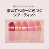 Laka Maxi Gray Tint #604 Misty Glossy Transparency Plump Finish
