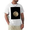 Full Moon At Night Tshirt Holiday Outdoor Tshirt