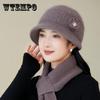 Hat Women's Autumn and Winter Versatile Thickened Warm Wool Hat Knitted Hat Faux Rabbit Fur Basin Hat