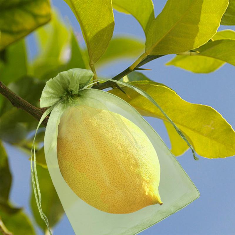 50pcs Garden Fruit Mesh Drawstring Bags Plant Fruit Protective Cover Vegetable Tomato Netting Bags