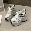 Fashion Women's Breathable Mesh Dad Shoes New Autumn Thick Bottom Casual Sports Walking Shoes Retro 10CM High Platform Chunky Sneakers