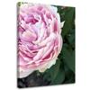 Canvas Print Peony Flower Plant