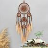 Bohemian Dream Catcher Hand-woven Pampas Grass Wind Chime Wall Hanging For Bedroom Birthday Festival Gifts Home Accessory Crafts