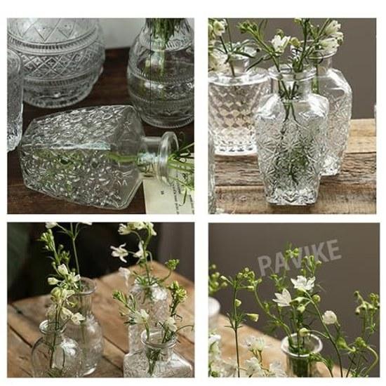 PAVIKE small glass vase transparent mini flower container hydroponics arrangement carved Nordic style single suitable living room bedroom office mouth