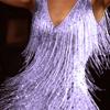 Womens Glitter Fringe Tassel Mini Dress Evening Cocktail Party Bodycon Ball Gown