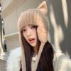 Hat Women's Solid Color Knitted Wool Hat Cute Cat Ears Winter Warm Ear Hat