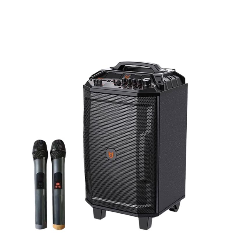 Beide Chaoqun Portable Bluetooth Trolley Speaker with Microphones CN plug (adapter included) (CN version)