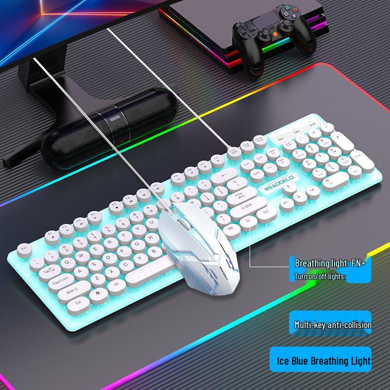 Punk Retro Wired Keyboard & Mouse with USB, Multi-key Anti-ghosting, Universal for Gaming & Office.