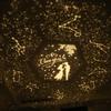 YOU KE LA 12 Types of Projection Film Planetarium for Home Use Popular Authentic Children Constellations Deer Moon Solar System Kids Wide Range of