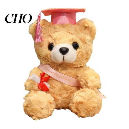 Graduation Keepsake Teddy Personalized Gifts 2026 for Her, 7-Inch Bear, Soft Class of Bear Plush Mascot College High School, Grade Commemorative
