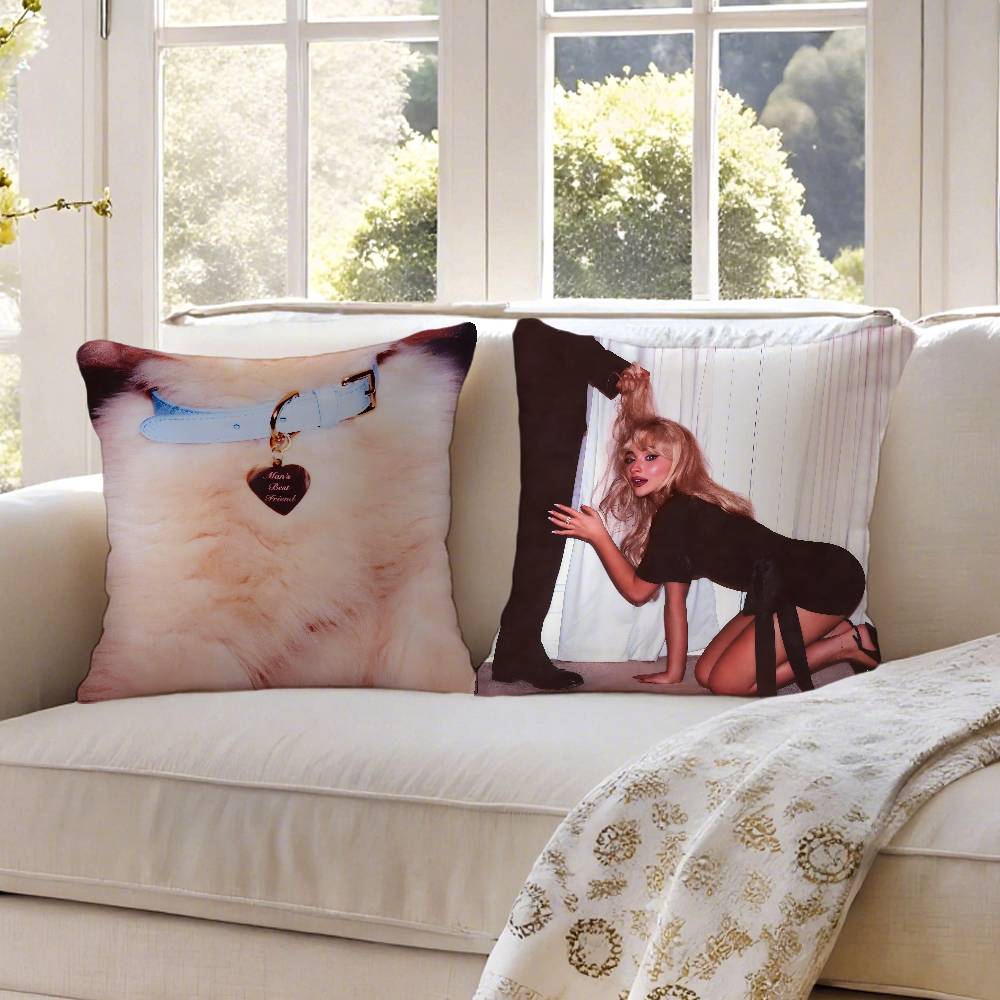 Sabrina Carpenter Pillow Case Anti-Dustmite Invisible Zipper Sofa Bed