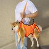 Adjustable Dog Lift Harness Comfortable Dog Lift Belt Breathable Support Sling for Old Disabled Joint Injuries Arthritis Dog Walk