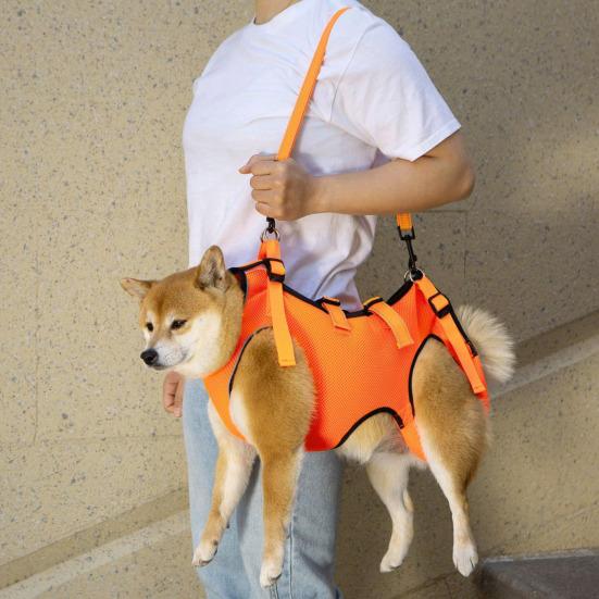 Adjustable Dog Lift Harness Comfortable Dog Lift Belt Breathable Support Sling for Old Disabled Joint Injuries Arthritis Dog Walk