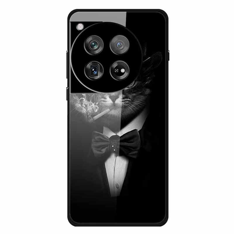 For OnePlus 12 5G Phone Case Pattern Printing Tempered Glass Shockproof Cover