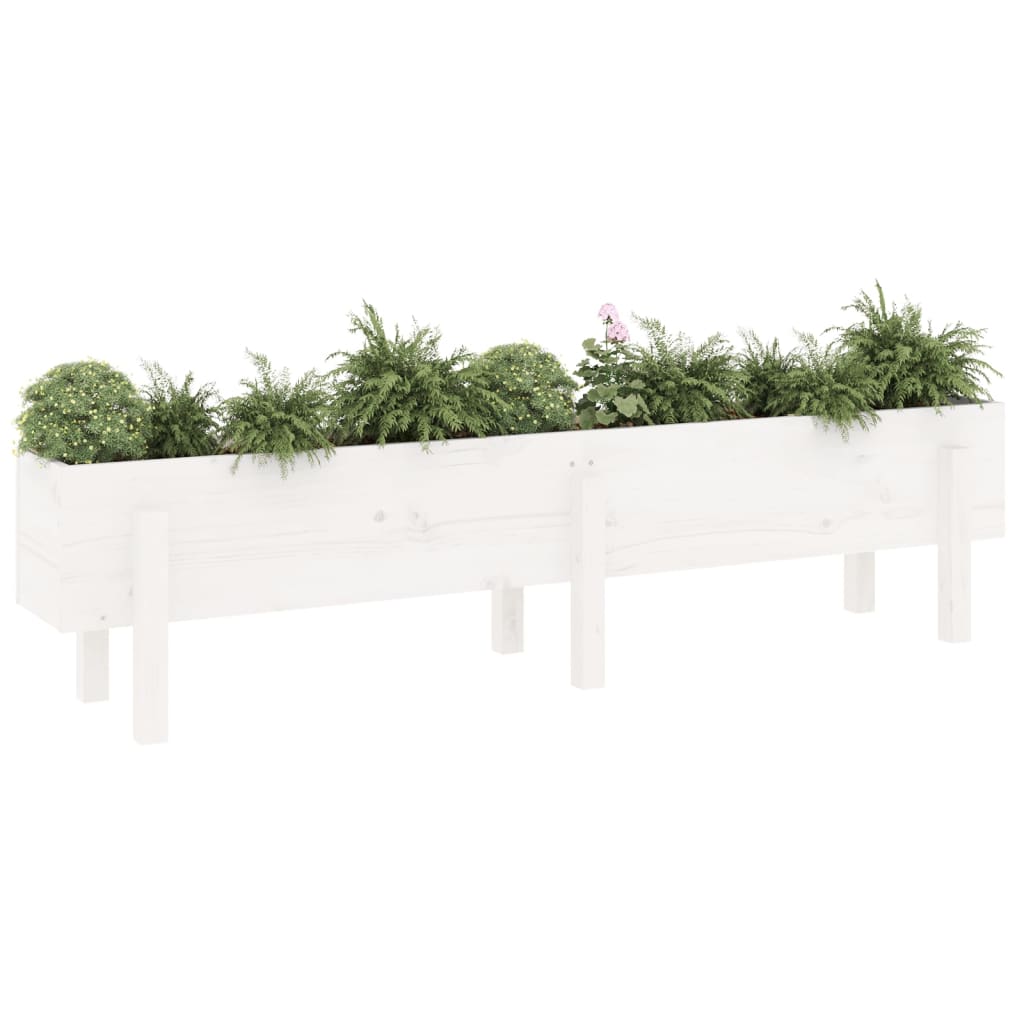 Raised Bed White 160 x 30 x 38 cm Solid Pine Wood
