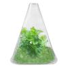 10 Pcs Plant Cloches Transparent Cloches Nursery PET Plastic Reusable Garden Cover Plant Windbreak