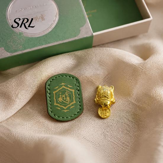 Golden Turtle Figurine Mini Charm, Feng Shui Keepsake with Faux Leather Charm Sleeve, Chinese Lucky for Wealth & Good Fortune