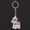 Cute Transparent Dog Hair Storage Cute Pendant Keychain Bag Pendant Couple Car Key Chains Jewelry Souvenir Collection Gift
