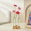 1Set Creative Hydroponic Plant Wooden Stand Flower Pot Test Tube Vase Durable Transparent