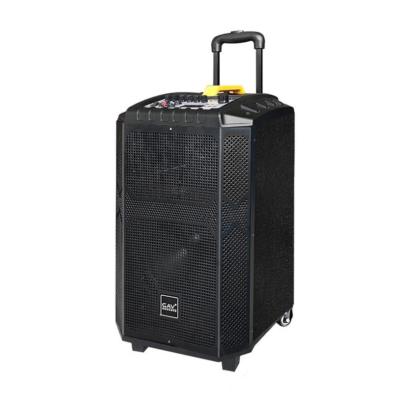 GAV K910 10-дюймовая портативная Bluetooth-колонка с двумя микрофонами, штекер CN (адаптер в комплекте)