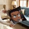The BBoondocks Cartoon Pillow Case Ultra Soft Skin Friendly Fabric Cloud Like Comfort  Concealed Zipper