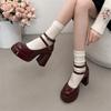 Trendy High Heels 2024 Autumn New Mary Jane Solid Color Thick High Heels Double Button Design Comfortable High Heels Women's
