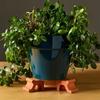 3PCS Decorative Flower Pot Stands 3D Printed Plant Pot Riser Prevent Rot Plant Pot Supports  Garden