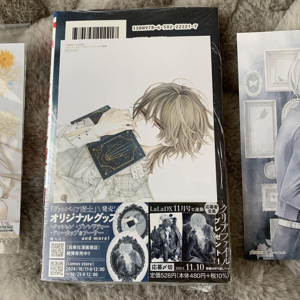 [USED] Vampire Knight Memories Volume 10 with Melon Books bonus illustration card